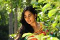 Navarasa Thilagam Actress Srushti Dange Photos