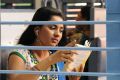 Actress Srushti Dange Photos in Navarasa Thilagam Movie