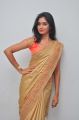 Telugu Actress Sruthi Mol in Silk Saree Stills