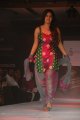Soumya Bollapragada @ Hyderabad International Fashion week 2011 Day 1
