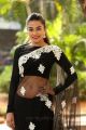 Ninnu Thalachi Actress Stefy Patel in Black Saree Photos
