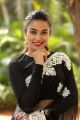 Ninnu Thalachi Heroine Stefy Patel Black Saree Photos