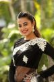 Actress Stefy Patel Saree Photos @ Ninnu Thalachi First Look Launch