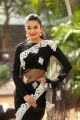 Actress Stefy Patel Saree Photos @ Ninnu Thalachi First Look Launch