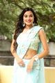 Ninnu Thalachi Actress Stefy Patel Saree Images