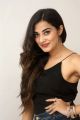 Heroine Stefy Patel Pictures @ Ninnu Thalachi Movie Interview