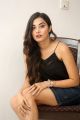 Actress Stefy Patel Pictures @ Ninnu Thalachi Movie Interview