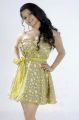 Actress Subha Punja Latest Hot Photoshoot Stills