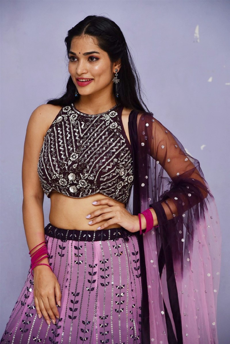 Actress Subhashree Rayaguru Photos @ Rudraveena First Look Launch