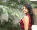 Nethra Movie Actress Subhiksha Latest Photoshoot Pics