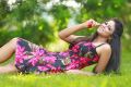 Tamil Actress Subiksha Photo Shoot Stills