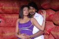 Haripriya, Prajwal Devraj in Subramanya Sastry Movie Stills