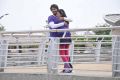 Haripriya, Prajwal Devraj in Subramanya Sastry Movie Stills