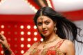 Monal Gajjar Hot Stills in Sudigaadu Movie