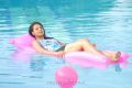 Sudigadu Monal Gajjar Hot in Swimming Pool Photos
