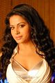 Rachana Maurya Hot item Song in Sudigadu Movie