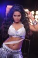 Rachana Maurya Hot Pics in Sudigadu Movie