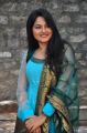 Telugu Actress Suhasini Cute Photos in Chudidar Dress