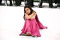 Actress Nisha Agarwal in Sukumarudu Movie Latest Photos