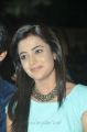 Actress Nisha Agarwal at Sukumarudu Movie Audio Launch Stills