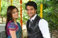 Aadi,Nisha Agarwal at Sukumarudu Movie Opening Stills