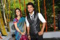 Aadi,Nisha Agarwal at Sukumarudu Movie Opening Stills