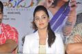 Actress Nisha Agarwal at Sukumarudu Movie Press Meet Stills