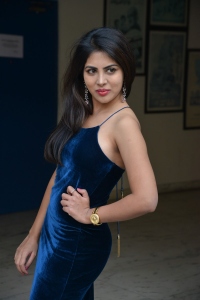 Actress Sumeeta Bajaj Photos @ Lie Lovers Teaser Launch
