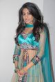Telugu Actress Sumona Chanda Hot Photoshoot Stills