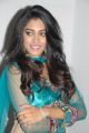 Telugu Actress Sumona Chanda Hot Photoshoot Stills