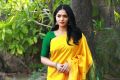 Kaali Movie Heroine Sunaina in Yellow Silk Saree Photos HD