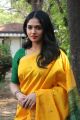 Kaali Movie Heroine Sunaina in Yellow Saree Photos HD