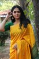 Kaali Movie Actress Sunaina in Yellow Silk Saree Photos HD