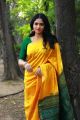 Kaali Movie Heroine Sunaina in Yellow Saree Photos HD