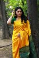 Kaali Movie Heroine Sunaina in Yellow Silk Saree Photos HD