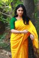 Heroine Sunaina Saree Photos HD @ Kaali Movie Press Meet