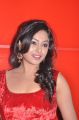 Actress Arundhati at Sundattam Movie Audio Launch Stills