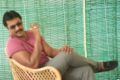 Hero Sunil Photos at Krishashtami Movie Interview