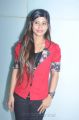 I Na Movie Actress Sunitha Photos