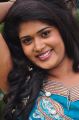 Sunitha Marasiar Cute Photos at Tamasha Movie Luanch