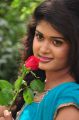 Telugu Actress Sunitha Cute Photos at Tamasha Movie Luanch