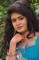 Telugu Actress Sunitha Cute Photos at Tamasha Movie Luanch