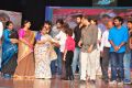 Supreme Movie Audio Release Photos