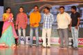 Supreme Movie Audio Release Photos