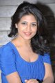 Actress Supriya at Sasesham Audio Release