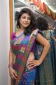 Telugu Actress Supriya Aysola in Blue Silk Saree Photos