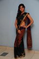 Supriya Shailja Hot Saree Photo Shoot