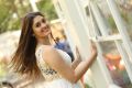 Express Raja Movie Actress Surabhi Photos