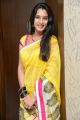 Actress Surekha Vani Saree Images @ Yevadu Movie Press Meet