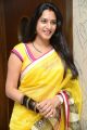 Actress Surekha Vani Saree Images @ Yevadu Movie Press Meet